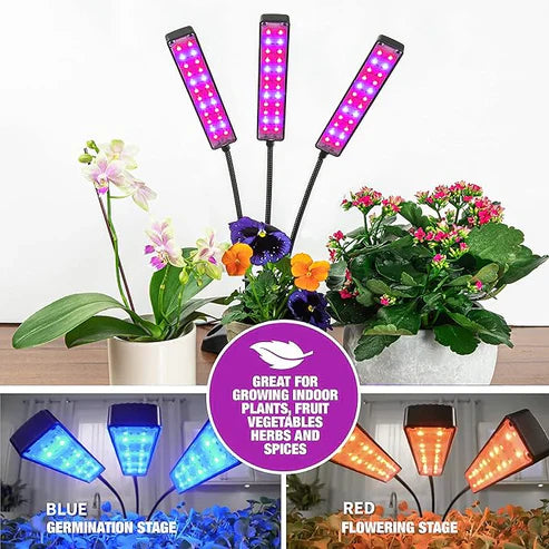 LED Grown Light